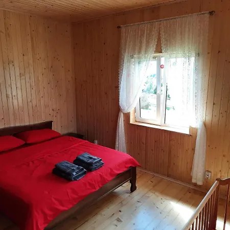 омріяні карпати