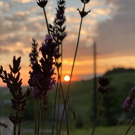 омріяні карпати Holiday home Smozhe