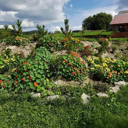 Holiday home омріяні карпати *