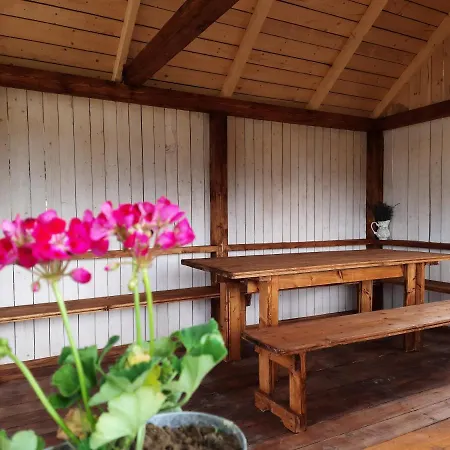 омріяні карпати Holiday home *