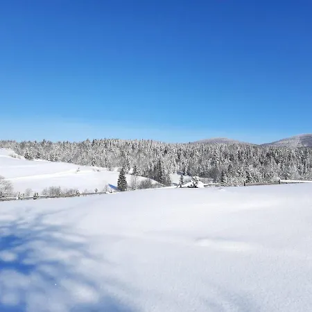 омріяні карпати * Smozhe