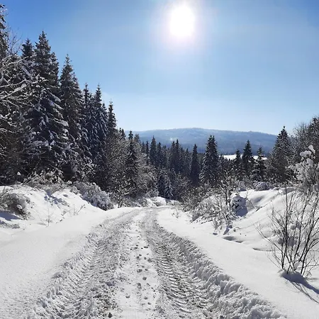 омріяні карпати Holiday home