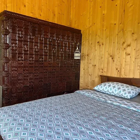 омріяні карпати