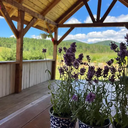 Holiday home омріяні карпати Smozhe