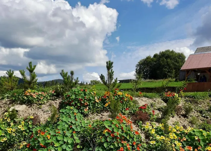 Holiday home омріяні карпати Smozhe