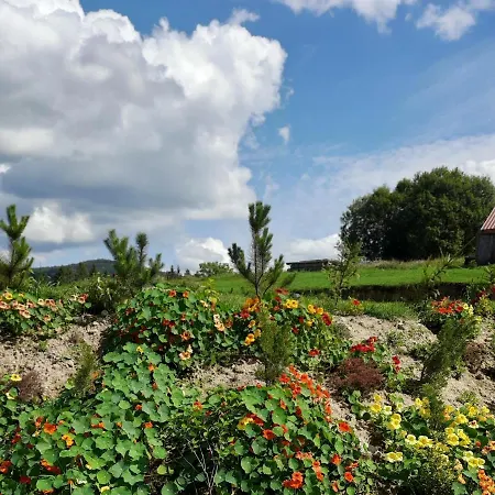 Feriehus омріяні карпати Smozhe